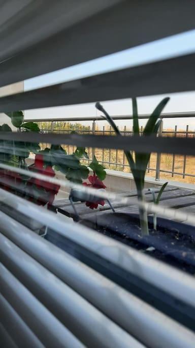 Rowing Base Apartment 普罗夫迪夫 外观 照片
