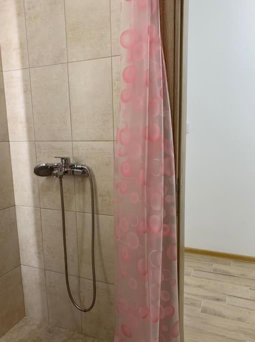 Rowing Base Apartment 普罗夫迪夫 外观 照片
