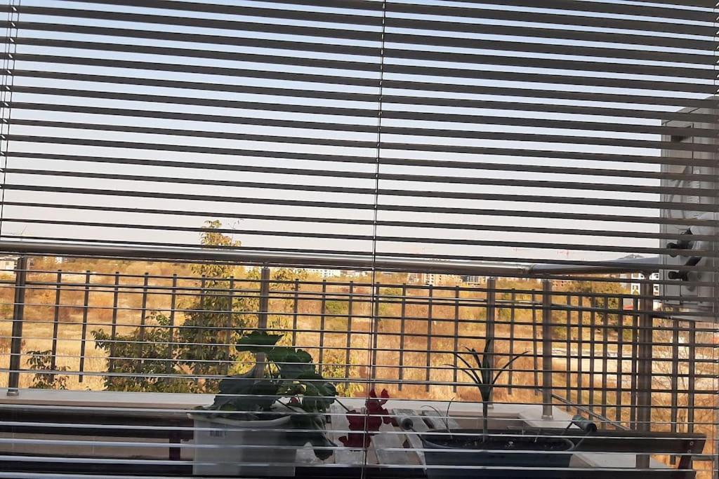Rowing Base Apartment 普罗夫迪夫 外观 照片